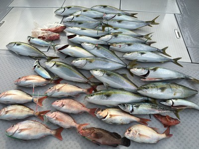 ミタチ丸 釣果