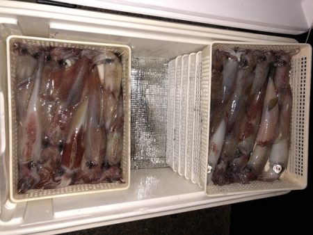 幸風（さちかぜ） 釣果