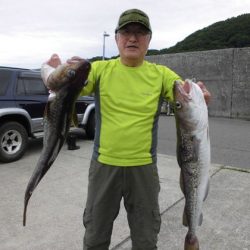 大進丸(新潟) 釣果