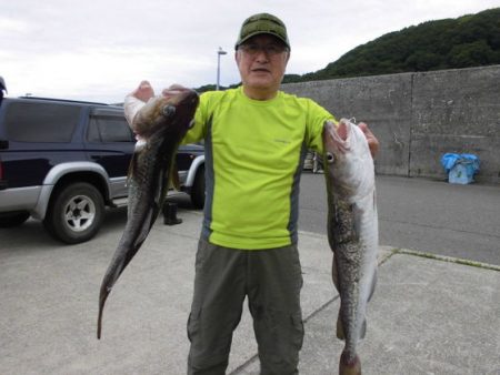 大進丸(新潟) 釣果