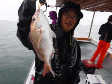 遊漁船 幸友丸 釣果