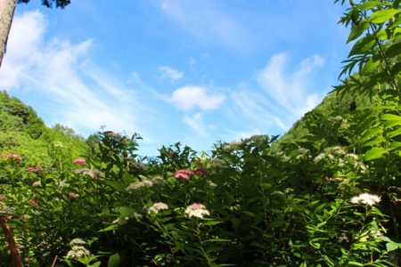 小菅トラウトガーデン 釣果