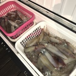 寿裕 （YOSHIHIRO） 釣果