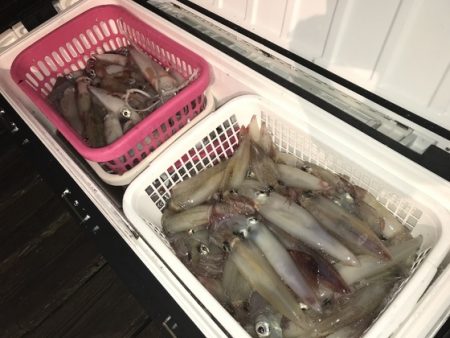 寿裕 （YOSHIHIRO） 釣果