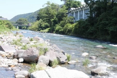 狩野川(狩野川漁業協同組合) 釣果