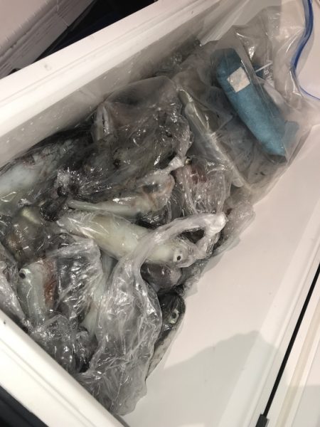 寿裕 （YOSHIHIRO） 釣果