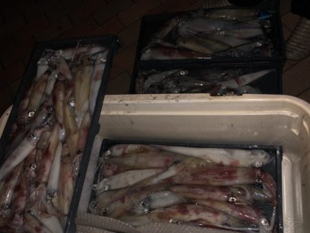 幸風（さちかぜ） 釣果