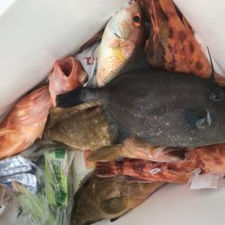 寿裕 （YOSHIHIRO） 釣果