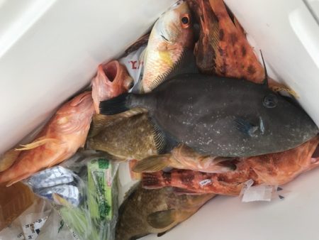 寿裕 （YOSHIHIRO） 釣果