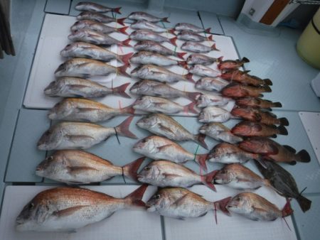 遊漁船 幸友丸 釣果