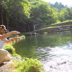小菅トラウトガーデン 釣果