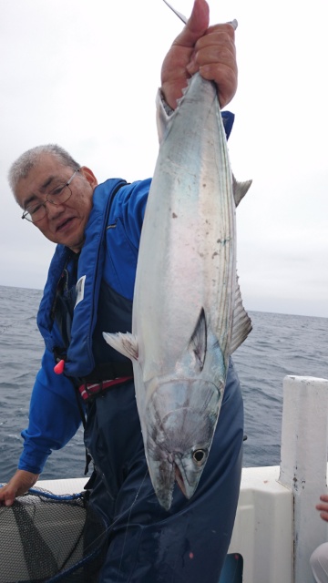 海晴丸 釣果