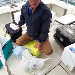 釣り船くわだ 釣果