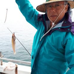 釣り船くわだ 釣果