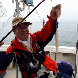 釣り船くわだ 釣果