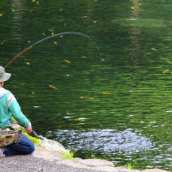 小菅トラウトガーデン 釣果