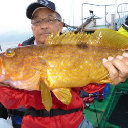 真祐丸 (しんゆうまる) 釣果