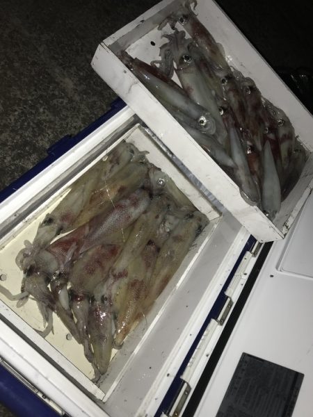 寿裕 （YOSHIHIRO） 釣果