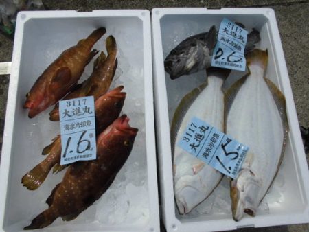 大進丸(新潟) 釣果