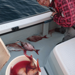 遊漁船ブルーウッズ 釣果