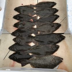 第七はやと （旧 満寿丸） 釣果