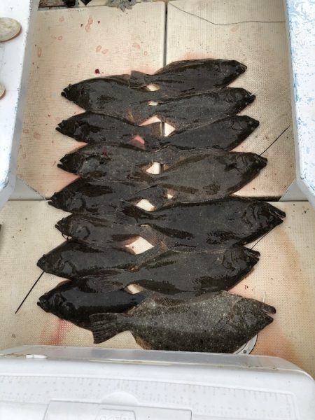 第七はやと （旧 満寿丸） 釣果