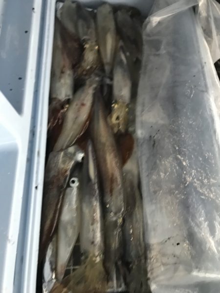 寿裕 （YOSHIHIRO） 釣果