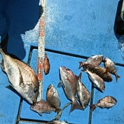 フィッシングガイド りょう 釣果