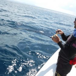 ＢｌｕｅＮｏｔｅ　Ｆｉｓｈｉｎｇ　Ｔａｘｉ 釣果