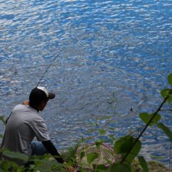 小菅トラウトガーデン 釣果