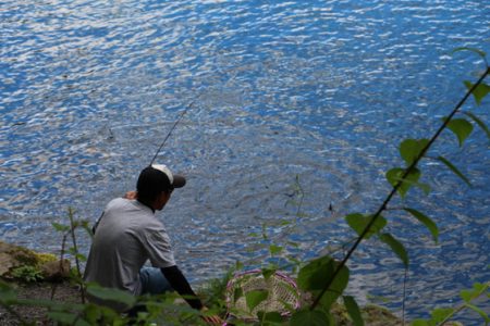 小菅トラウトガーデン 釣果