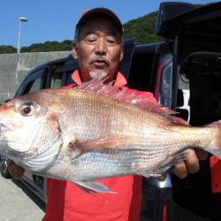 大進丸(新潟) 釣果