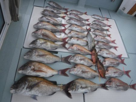 遊漁船 幸友丸 釣果