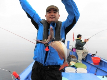 鯛紅丸 釣果