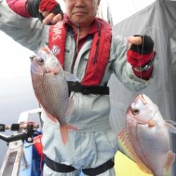 鯛紅丸 釣果