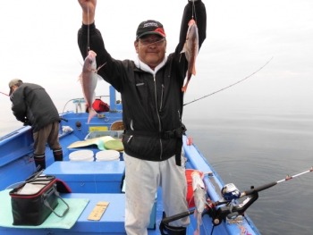 鯛紅丸 釣果