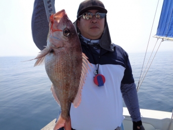鯛紅丸 釣果