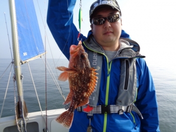 鯛紅丸 釣果