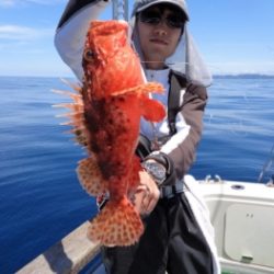 鯛紅丸 釣果