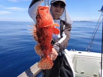 鯛紅丸 釣果