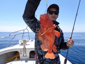 鯛紅丸 釣果