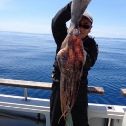 鯛紅丸 釣果