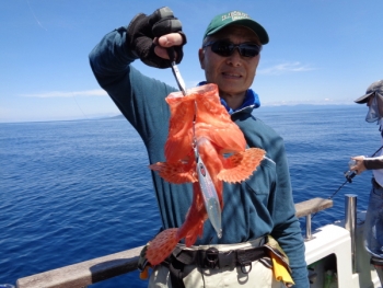 鯛紅丸 釣果