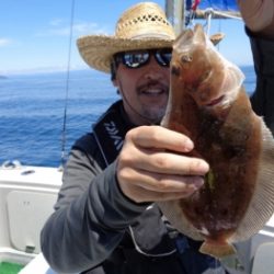 鯛紅丸 釣果