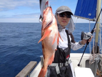 鯛紅丸 釣果