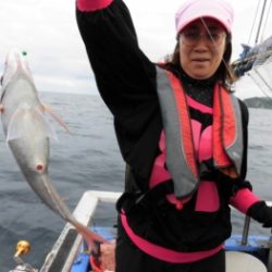 鯛紅丸 釣果