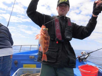 鯛紅丸 釣果