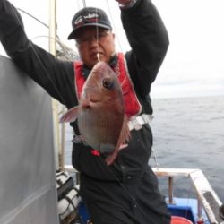 鯛紅丸 釣果