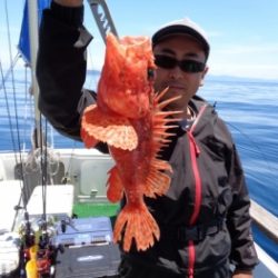 鯛紅丸 釣果