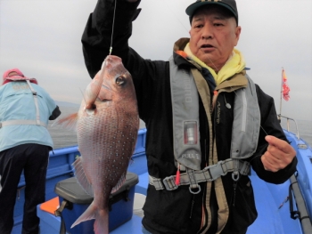 鯛紅丸 釣果